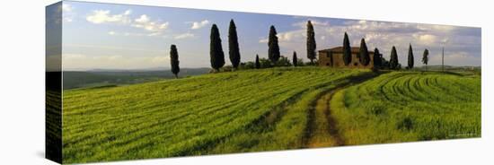 Farmhouse and Cypress Trees Near Pienza, Tuscany, Italy, Europe-Lee Frost-Premier Image Canvas