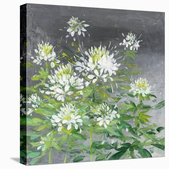 Farmhouse Cleome II-Julia Purinton-Stretched Canvas