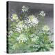 Farmhouse Cleome II-Julia Purinton-Stretched Canvas