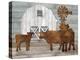 Farmhouse Corrosion-Mark Chandon-Stretched Canvas