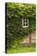 Farmhouse, Facade, Ivy Covered, Detail-Nora Frei-Premier Image Canvas