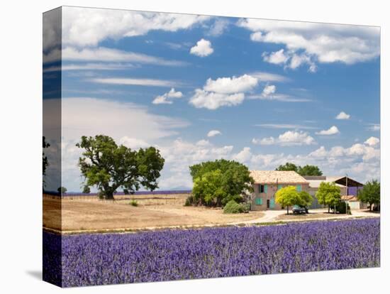 Farmhouse in a Lavender Field, Provence, France-Nadia Isakova-Premier Image Canvas