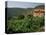 Farmhouse Near Millau, Aveyron, Midi Pyrenees, France-Michael Busselle-Premier Image Canvas