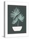 Farmhouse Potted Palm 4-null-Stretched Canvas