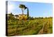 Farmhouse. Typical Rolling Hills Landscape. Tuscany, Italy-Tom Norring-Premier Image Canvas