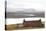 Farmhouse with Red Iron Roof Overlooking Lochs and Mountains Off the A858 South of Carloway-Lee Frost-Premier Image Canvas