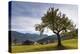 Farmhouses and Gosaukamm, Austria, Salzkammergut, Gosau-Volker Preusser-Premier Image Canvas