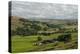 Farming country, Lower Pennines, Northumberland, England, United Kingdom, Europe-James Emmerson-Premier Image Canvas