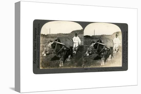 Farming Near Seoul, South Korea, 1900s-null-Premier Image Canvas