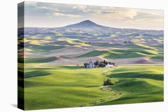 Farmington, Washington State, USA. Wheat farms in front of Steptoe Butte in the Palouse hills.-Emily Wilson-Premier Image Canvas