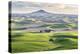 Farmington, Washington State, USA. Wheat farms in front of Steptoe Butte in the Palouse hills.-Emily Wilson-Premier Image Canvas