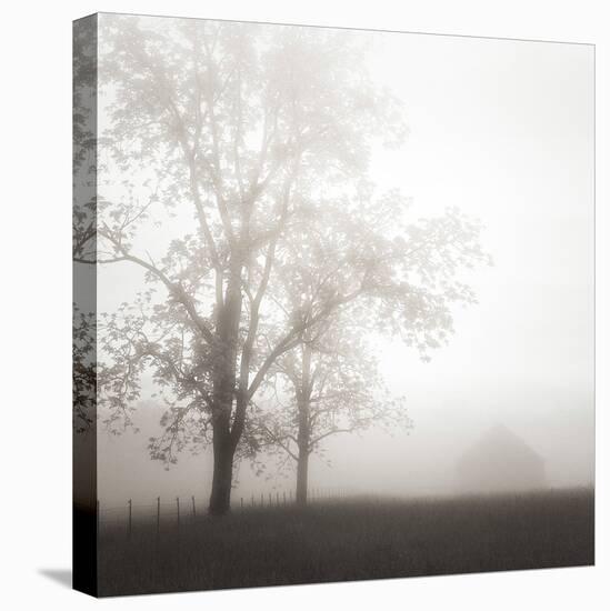 Farmland, Appalachia, 2013-Nicholas Bell-Stretched Canvas