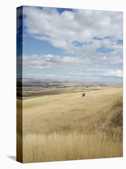 Farmland Off Highway 84, Near Pendleton, Oregon, United States of America, North America-Aaron McCoy-Premier Image Canvas