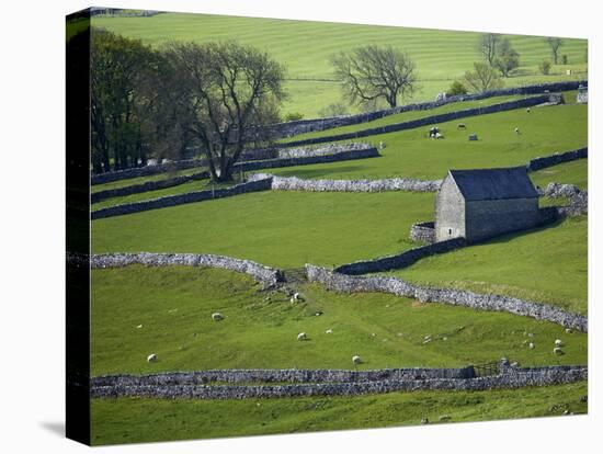 Farmland, Stone Walls and Buildings, Near Malham, Yorkshire Dales, North Yorkshire, England-David Wall-Premier Image Canvas