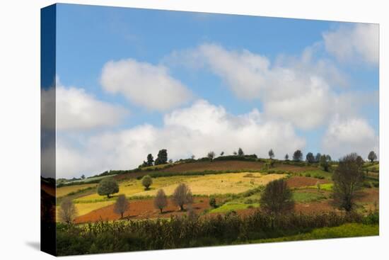 Farmland with Mustard Field, Shan State, Myanmar-Keren Su-Premier Image Canvas