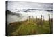 Farmlands in Whakahoro, in the Whanganui NP of New Zealand-Micah Wright-Premier Image Canvas