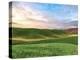 Farmscape Photo V-James McLoughlin-Premier Image Canvas