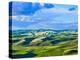 Farmscape Photo VI-James McLoughlin-Premier Image Canvas