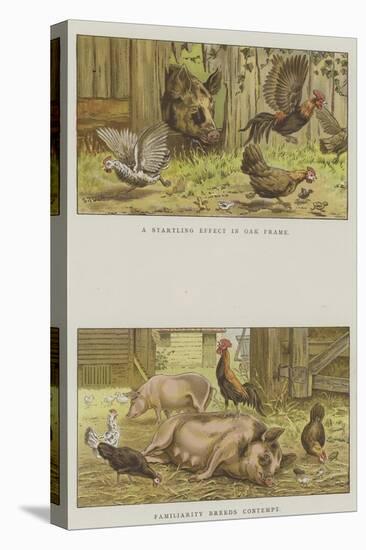 Farmyard Scenes-S.t. Dadd-Premier Image Canvas