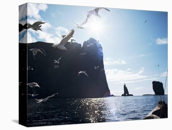 Faroe Islands, Denmark, North Atlantic-Adam Woolfitt-Premier Image Canvas