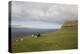 Faroes, Sandoy, house-olbor-Premier Image Canvas