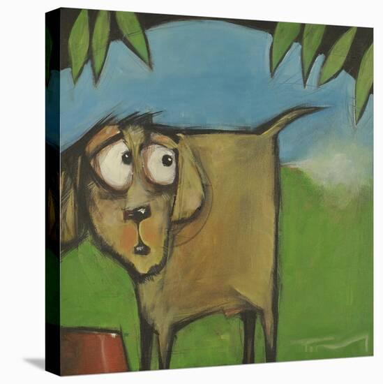 Farting Dog-Tim Nyberg-Premier Image Canvas