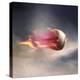 Fast Baseball-null-Premier Image Canvas