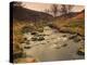 Fast Moving Stream, Near Ladybower Reservoir, Peak District Nat'l Park, Derbyshire, England-Ian Egner-Premier Image Canvas