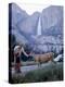 Father and Son Feeding a Wild Deer in Yosemite National Park with Yosemite Falls in the Background-Ralph Crane-Premier Image Canvas