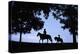 Father and Son Riding Horses-William P. Gottlieb-Premier Image Canvas