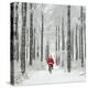 Father Christmas on a Bicycle in Snow-null-Premier Image Canvas