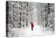 Father Christmas Riding Bicycle Through Beech-null-Premier Image Canvas