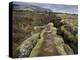 Fault in the Landscape at Thingvellir National Park Near Reykjavik, Iceland-Lee Frost-Premier Image Canvas