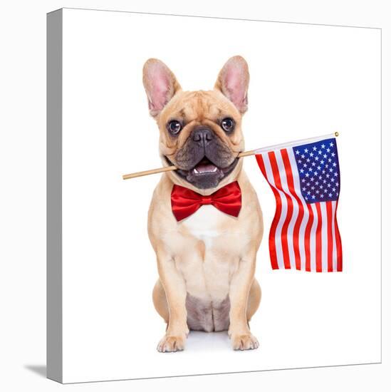 Fawn French Bulldog-Javier Brosch-Premier Image Canvas