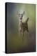 Fawn in the Forest-Jai Johnson-Premier Image Canvas