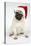 Fawn Pug Wearing Christmas Hat-null-Premier Image Canvas