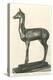 Fawn Sculpture from Herculaneum-null-Stretched Canvas