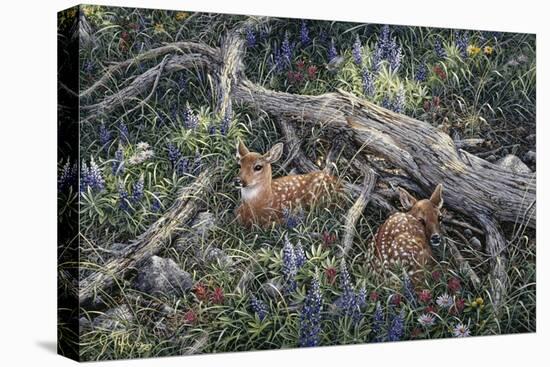 Fawns and Flowers-Jeff Tift-Premier Image Canvas