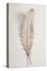 Feather_002-1x Studio III-Premier Image Canvas