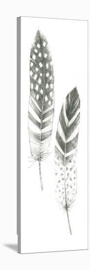 Feather Sketches VIII-Avery Tillmon-Stretched Canvas