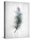 Feathered Dreams 1-Kimberly Allen-Stretched Canvas