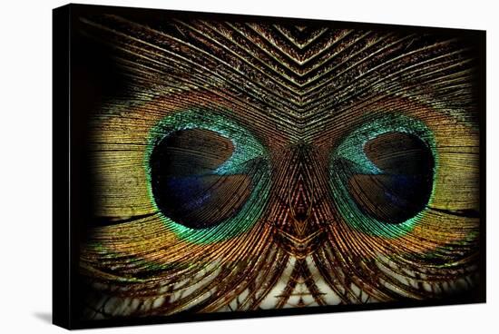 Feathered Owl-Jan Michael Ringlever-Stretched Canvas