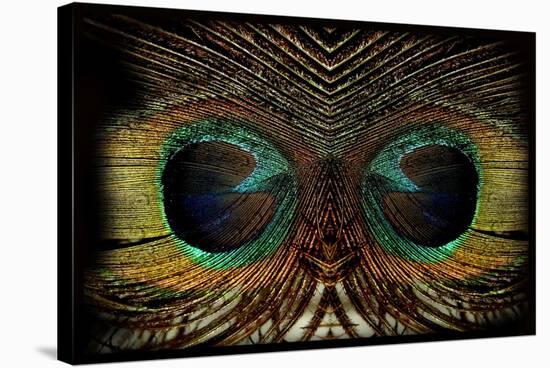 Feathered Owl-Jan Michael Ringlever-Stretched Canvas