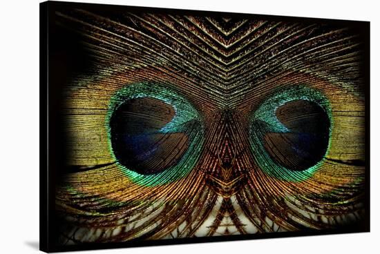 Feathered Owl-Jan Michael Ringlever-Stretched Canvas