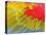 Feathers of a Scarlet Macaw-Arthur Morris-Premier Image Canvas