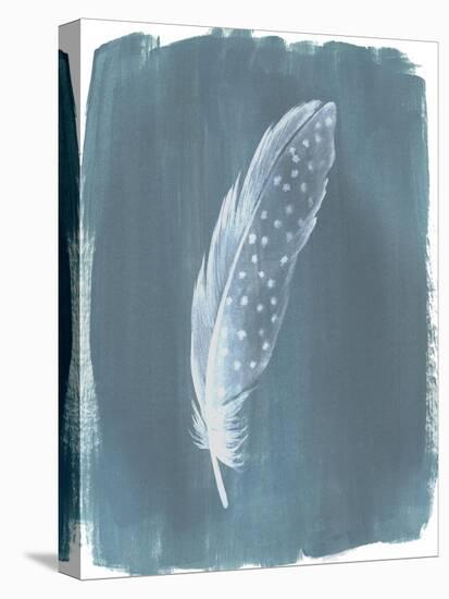 Feathers on Dusty Teal III-Grace Popp-Stretched Canvas