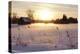 Federsee Nature Reserve at Sunset in Winter-Markus-Premier Image Canvas