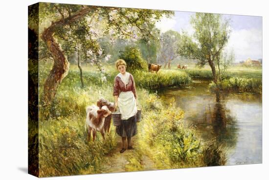 Feeding the Calves-Ernest Walbourn-Premier Image Canvas