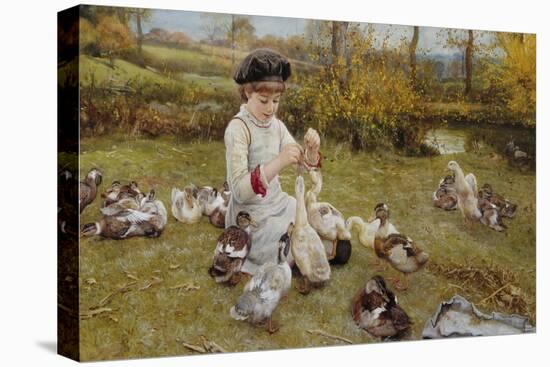 Feeding the Ducks-Edward Killingworth Johnson-Premier Image Canvas