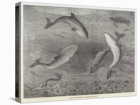 Feeding the Porpoises at the Brighton Aquarium-Samuel Read-Premier Image Canvas